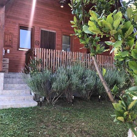 Holiday Home Nemo Bihać Εξωτερικό φωτογραφία