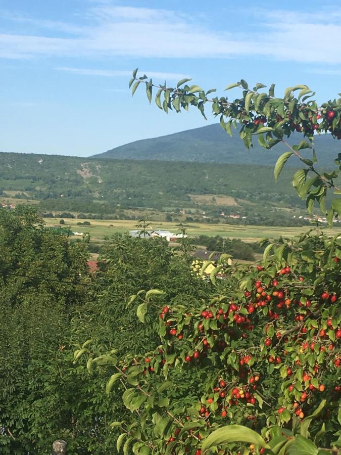 Holiday Home Nemo Bihać Εξωτερικό φωτογραφία